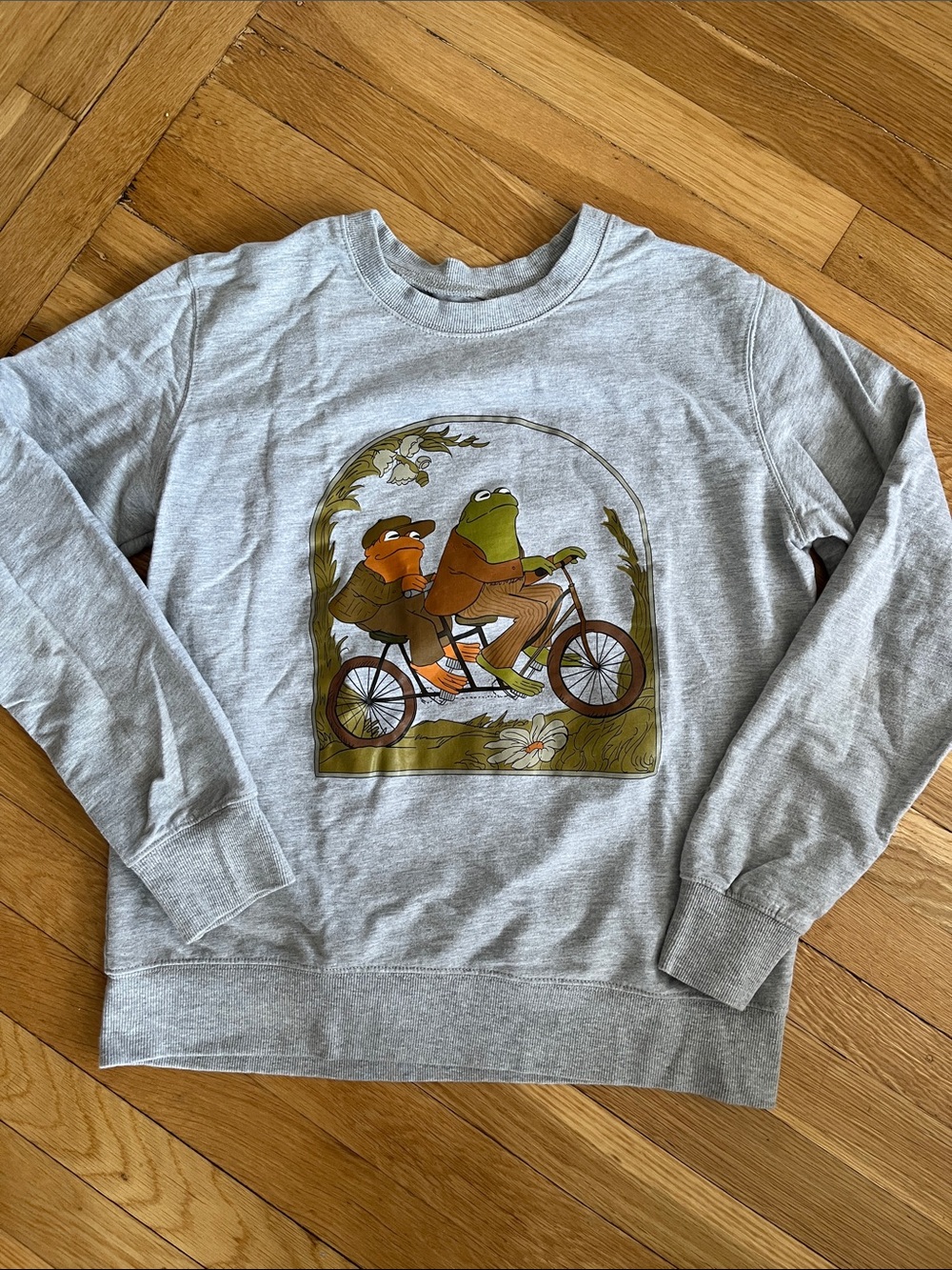 Gray Graphic Crewneck Sweatshirt with Frog Bicycle Design